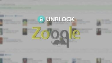 Zooqle Alternatives