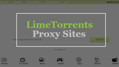 Limetorrents Alternative