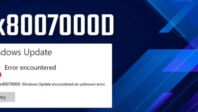0x8007000d