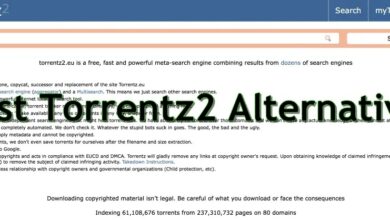 Torrentz2 Alternatives
