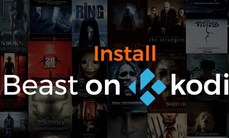 Install The Beast on Kodi