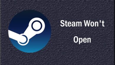 Steam Won't Open