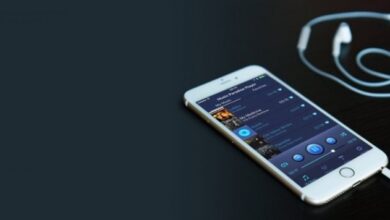 Music Paradise Pro Alternatives