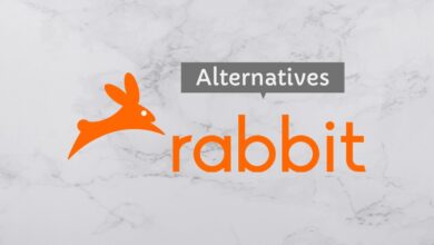 Alternatives to Rabbit