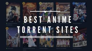 Anime Torrent Sites