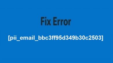 Solve Error Code [pii_email_bbc3ff95d349b30c2503]