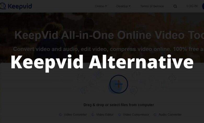 KeepVid Alternatives