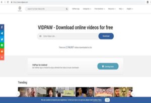 VidPaw