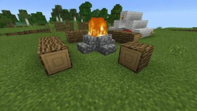 Campfire Minecraft