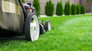 Lawn Care Services