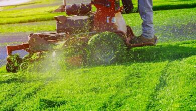 Lawn Care Services