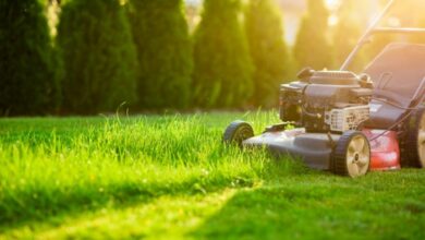 Lawn Care Service