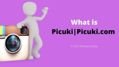 Picuki Instagram