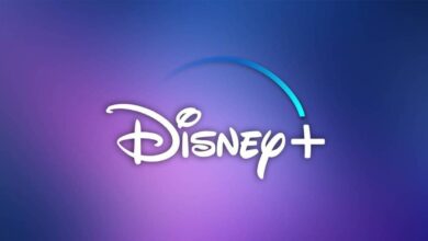 disneyplus.com login/begin