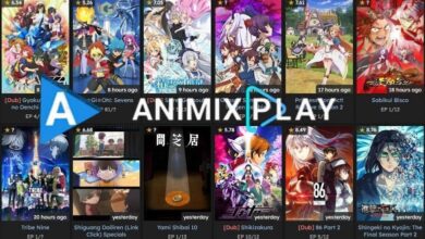 AniMixPlay