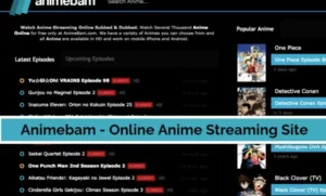 AnimeBam