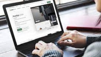 Shopify Themes