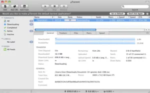 Torrent Download Manager